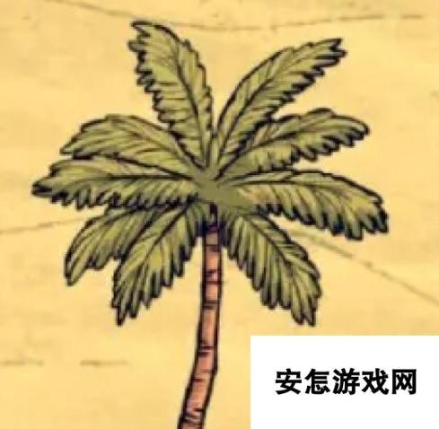 《饥荒海难》椰子树作用介绍